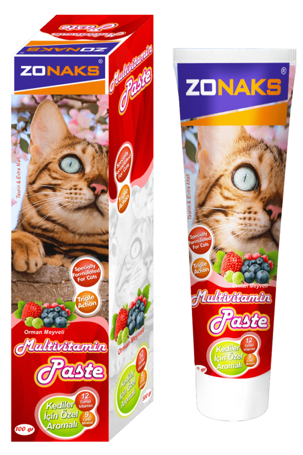 ZONAKS MULTIVITAMIN PASTE 100 GR (ORMAN MEYVELI) 12'li