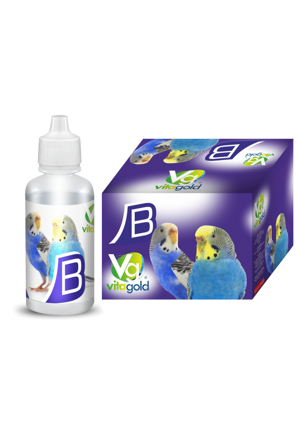 VİTAGOLD B VİTAMİNİ 50 cc 12'li