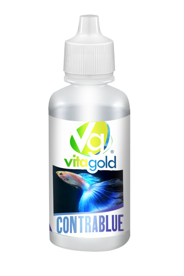 VİTAGOLD CONTRA BLUE 50 cc 12'li