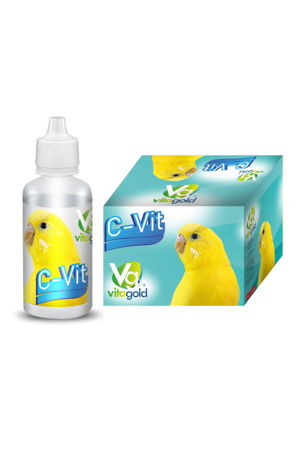 VİTAGOLD C VİTAMİNİ 50 cc 12'li